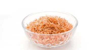 Krill Cómo Puede Reducir el Colesterol de Manera Natural