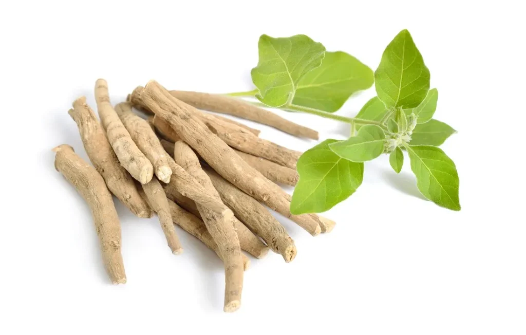 ginseng qué es