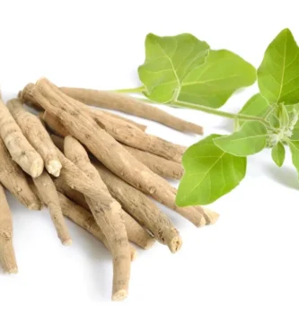 ginseng qué es