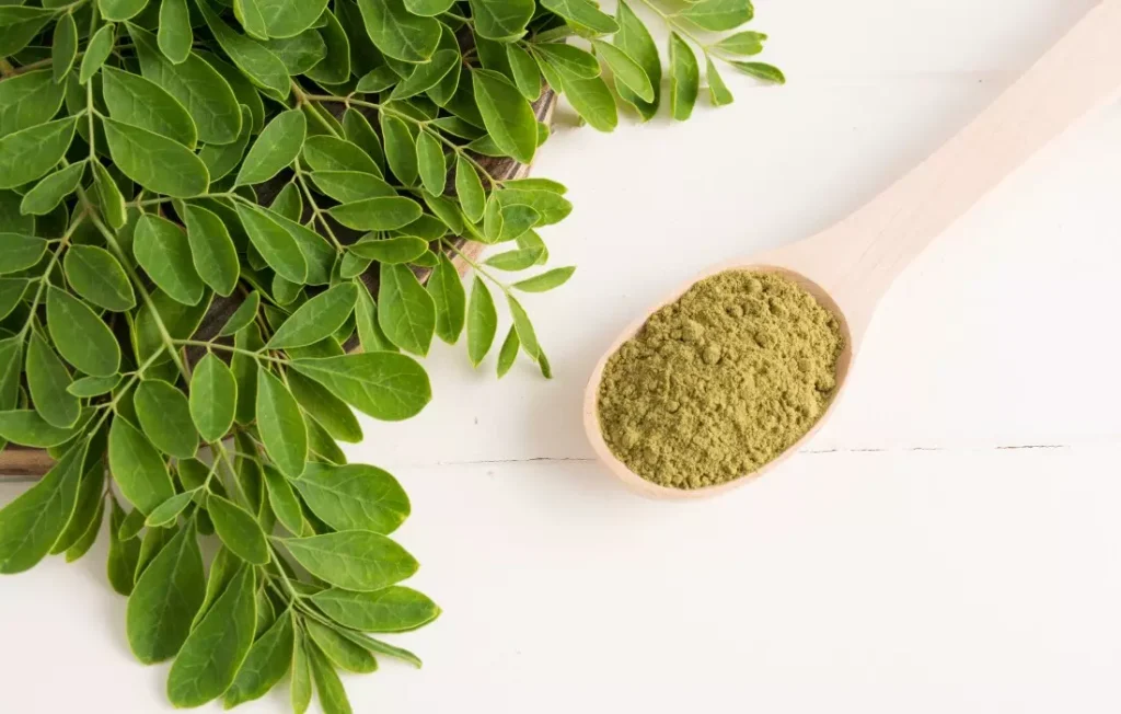 para qué es buena la moringa