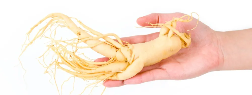 para qué sirve el ginseng